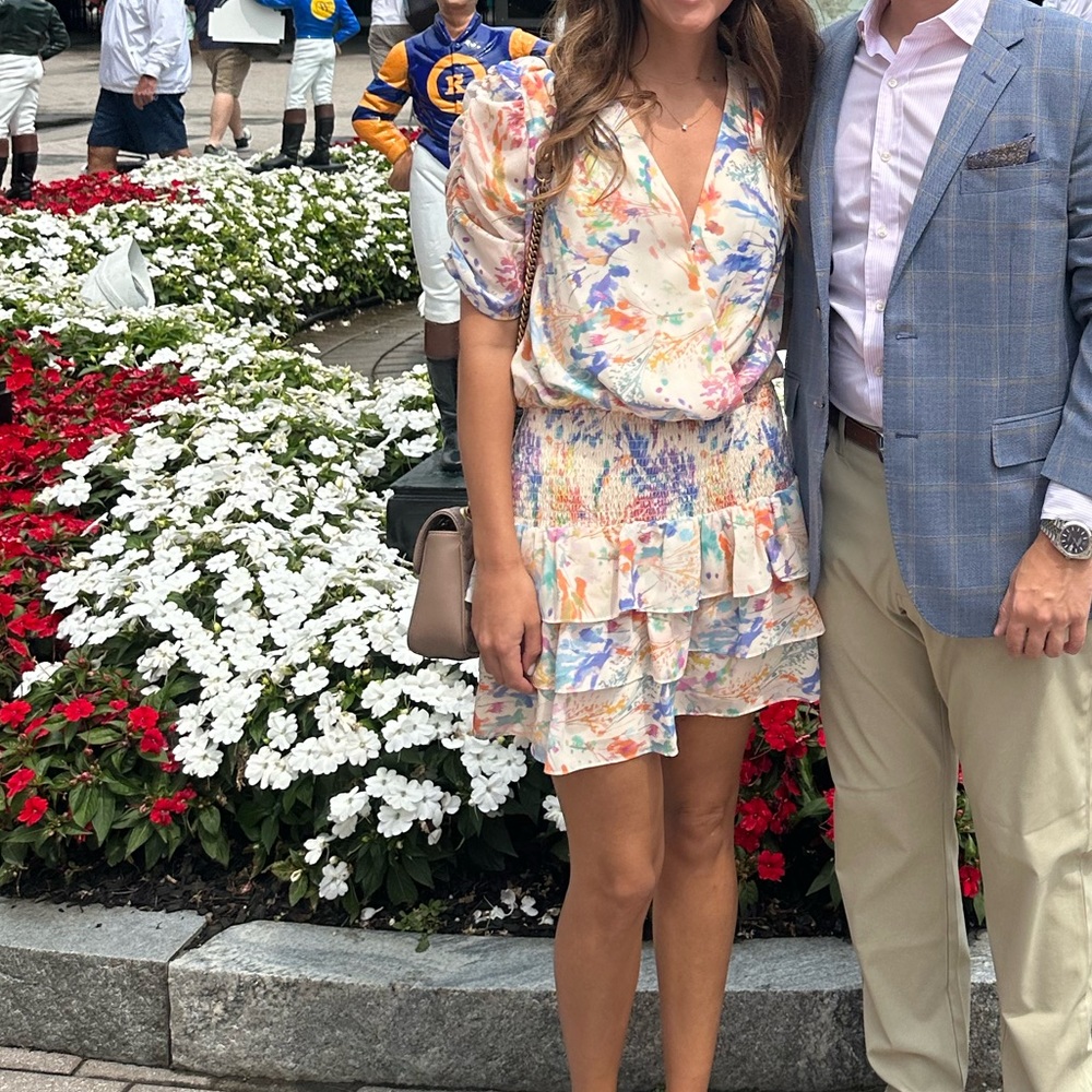 Amanda Uprichard Nala Dress - Picture 2 of 6